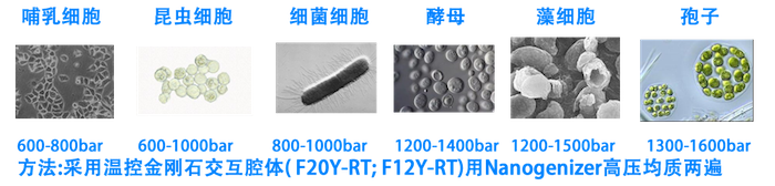 微射流均質(zhì)機(jī)行業(yè)應(yīng)用細(xì)胞破碎